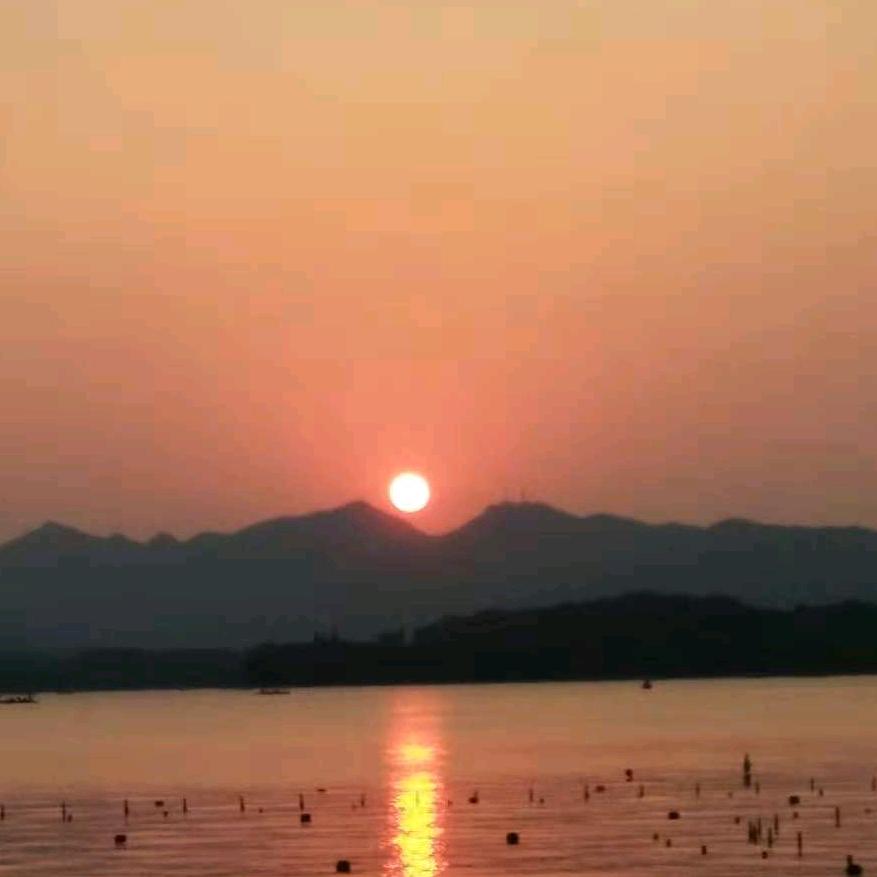 岳西县皖嫂家政服务有限公司