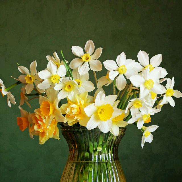 微微一笑很倾城