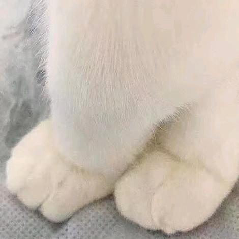倾城