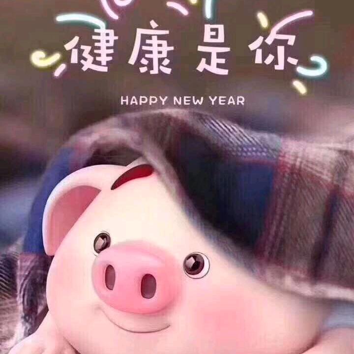 小熊猫