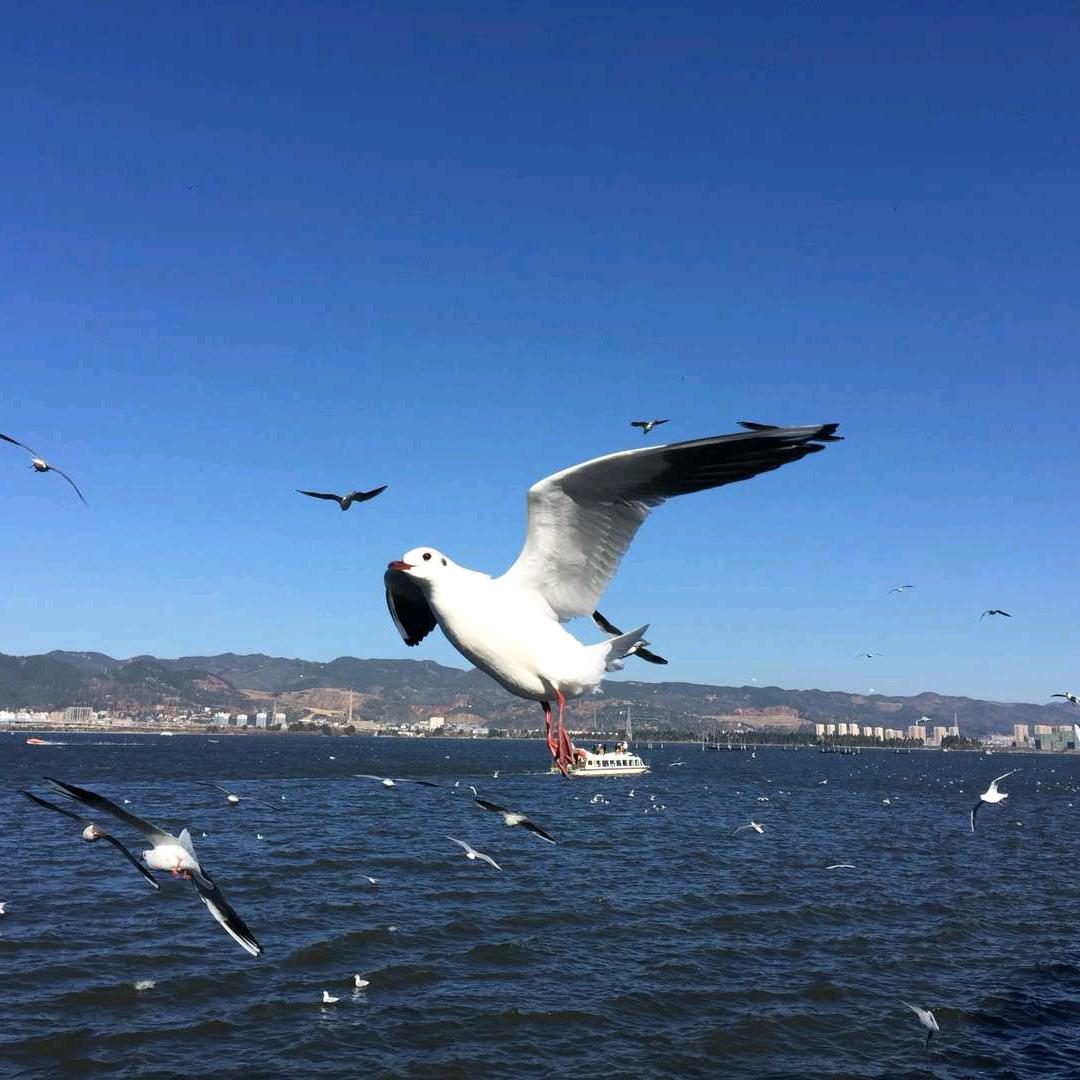中品天下