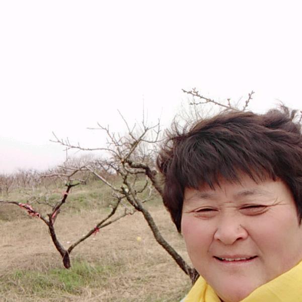 李月珍590