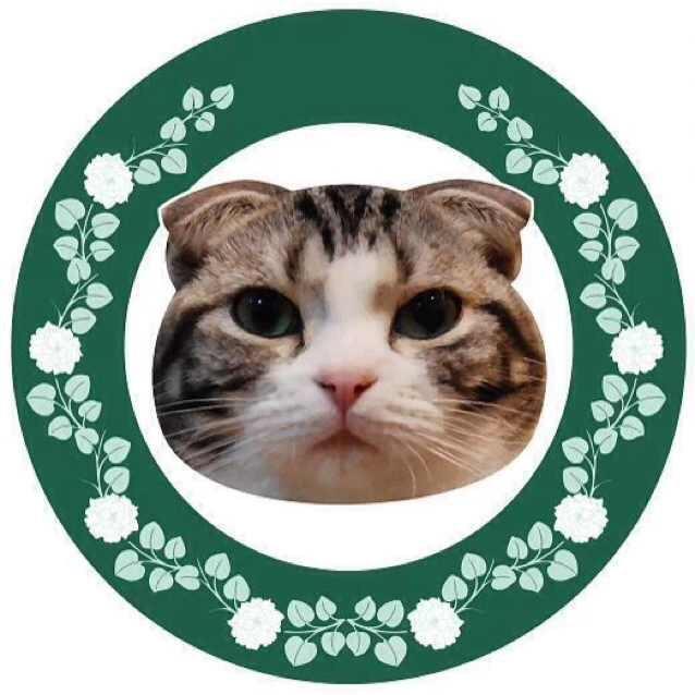 喵Lady猫主题餐厅