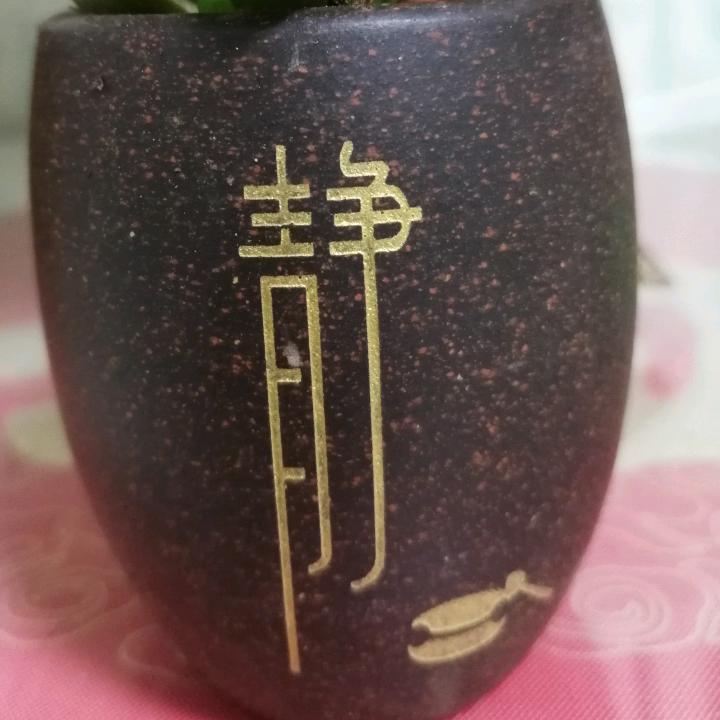 菩提心愿