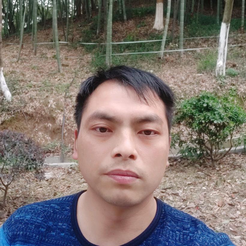 徐智慧、艾7