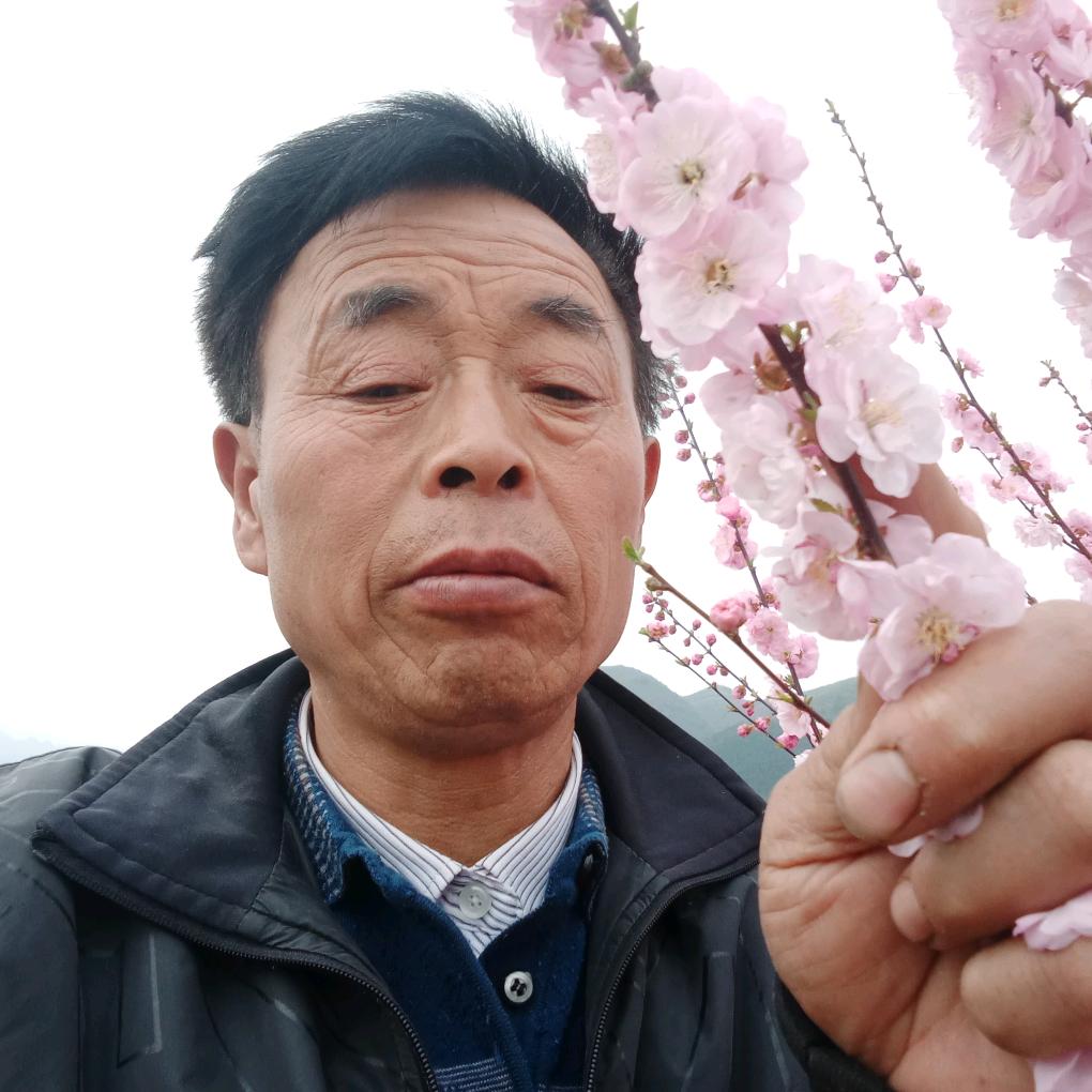 丑八怪花木园