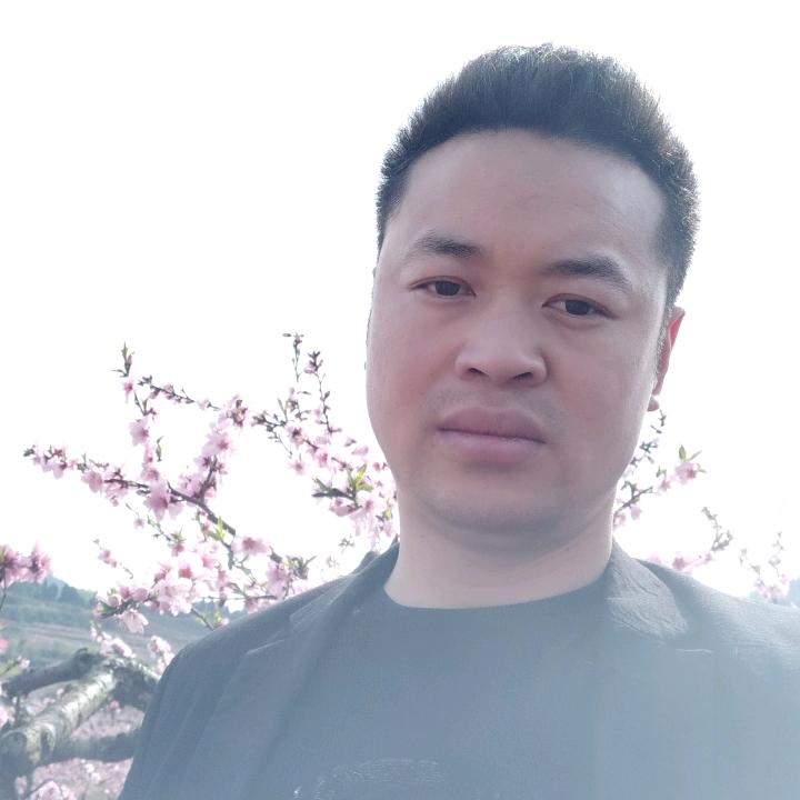 杨