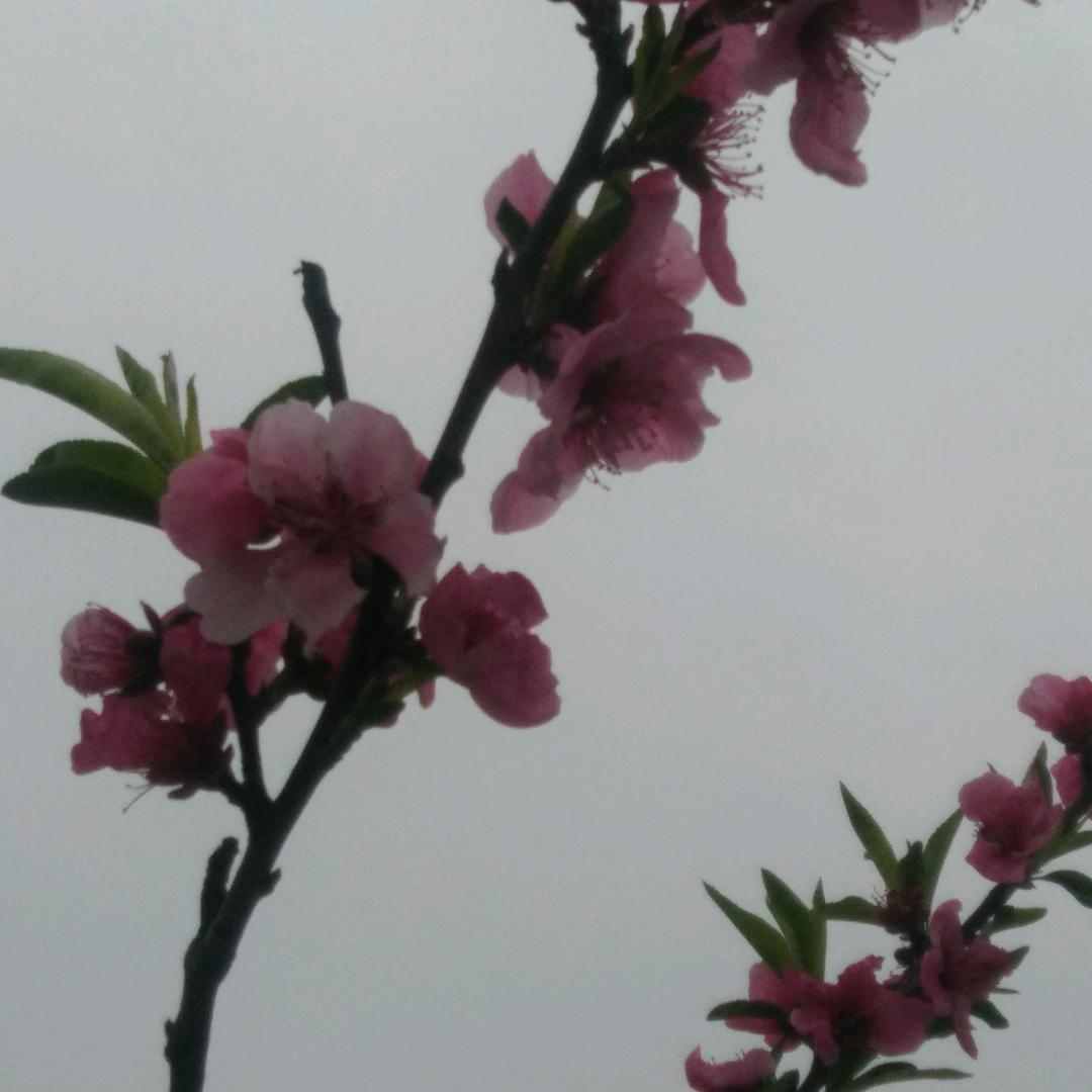 用户898142065495美好明天