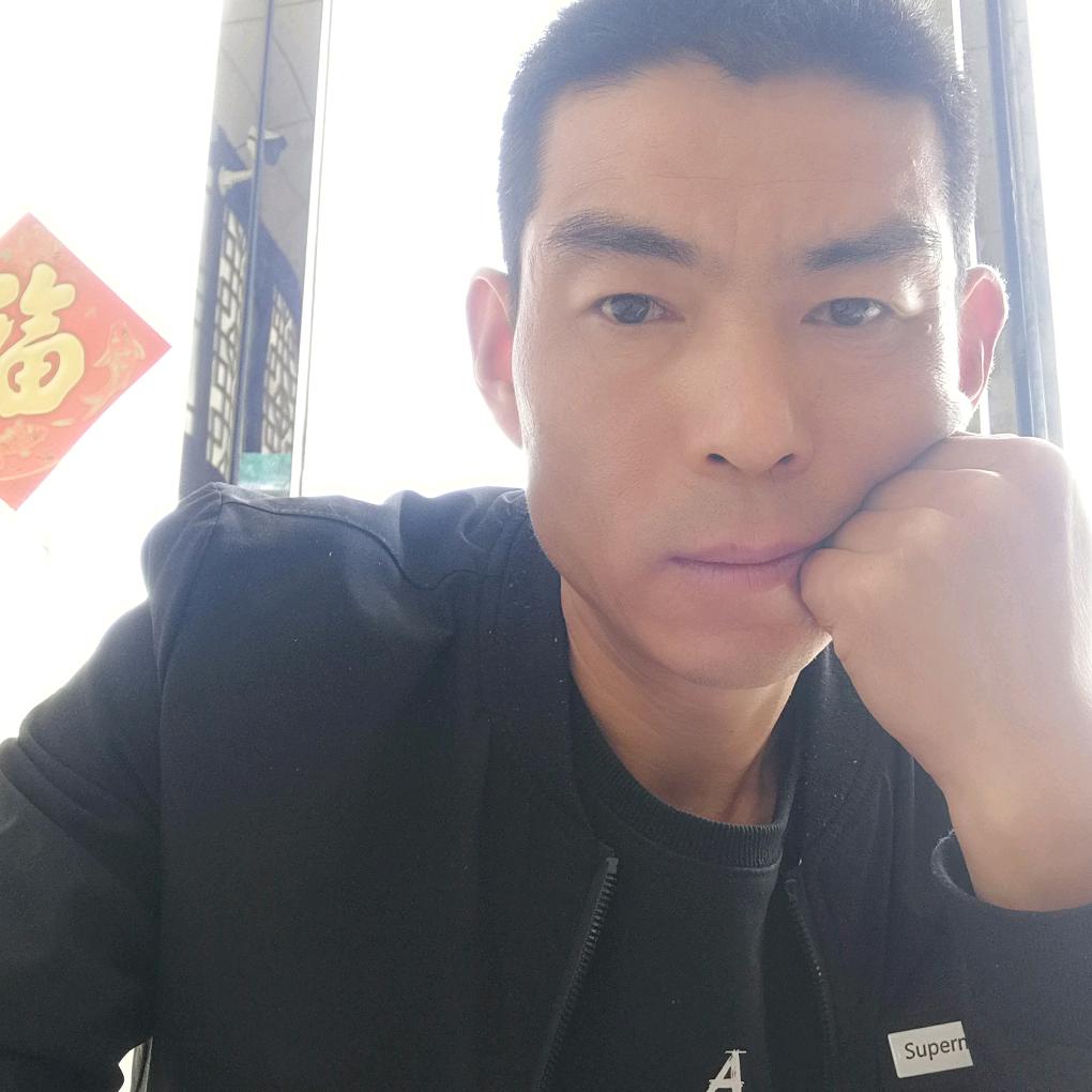 寂寞老狼
