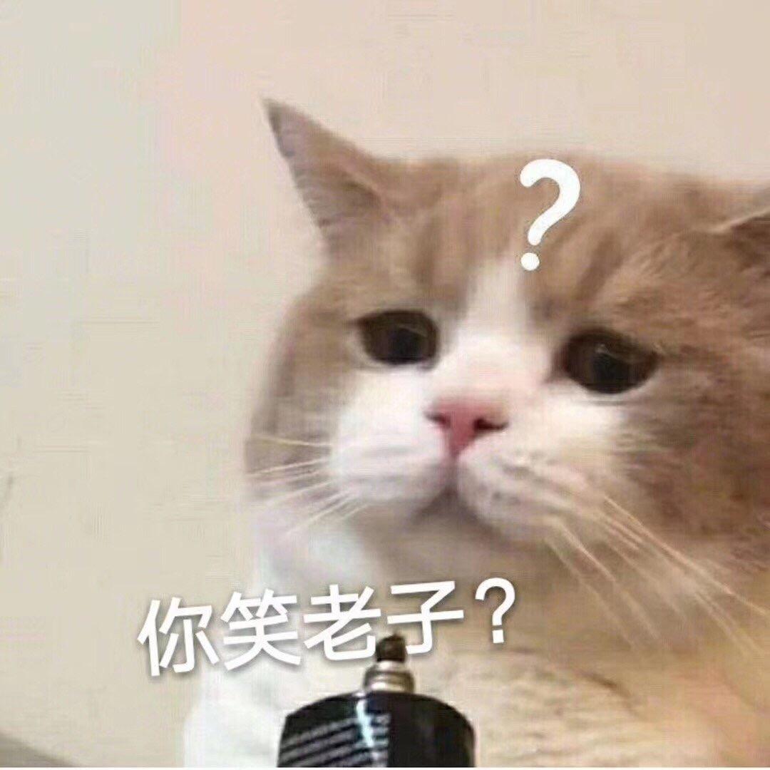 小奶猫