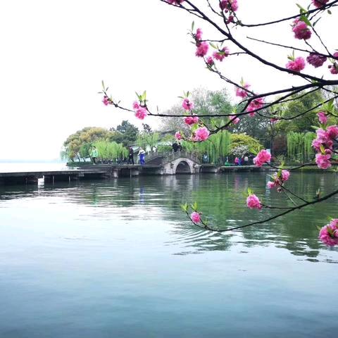 潘卫