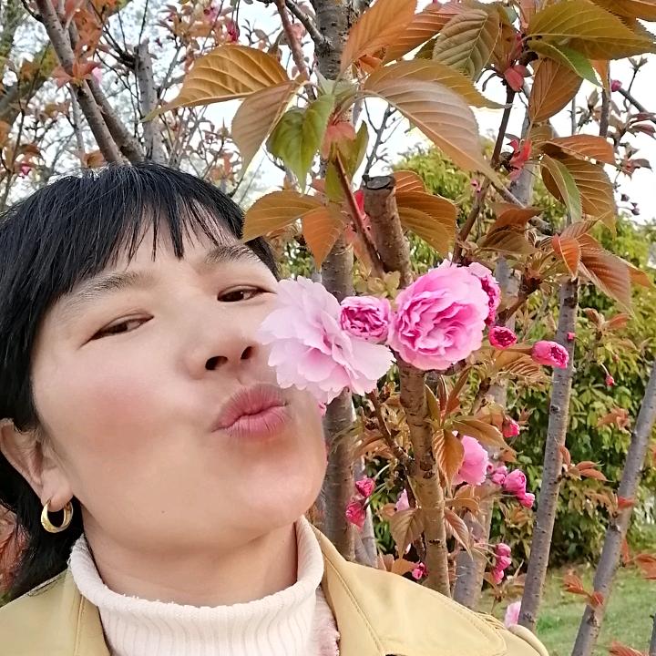 述述有話