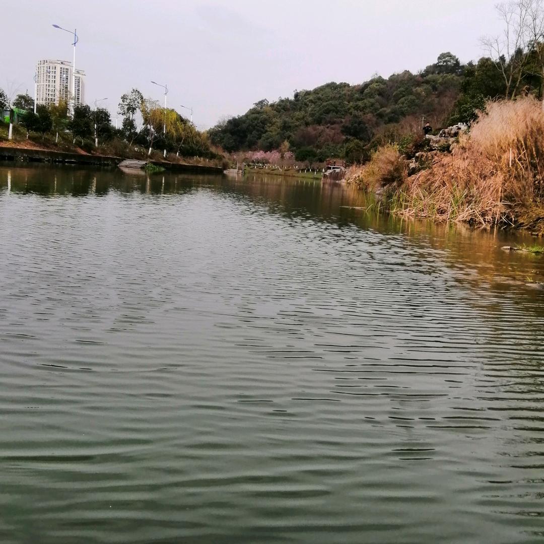 峰回路转🎤