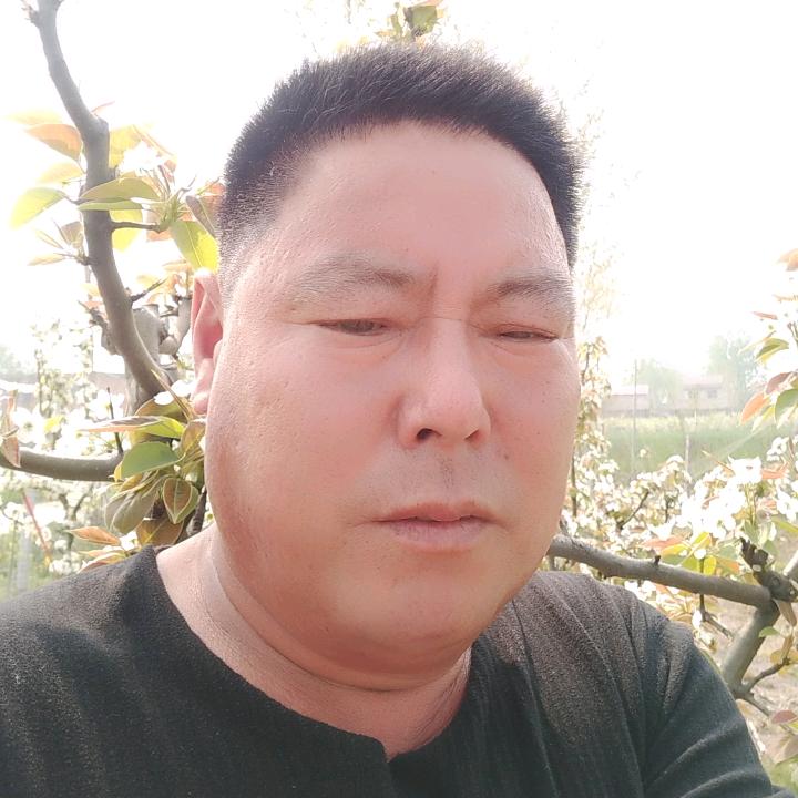 王立春