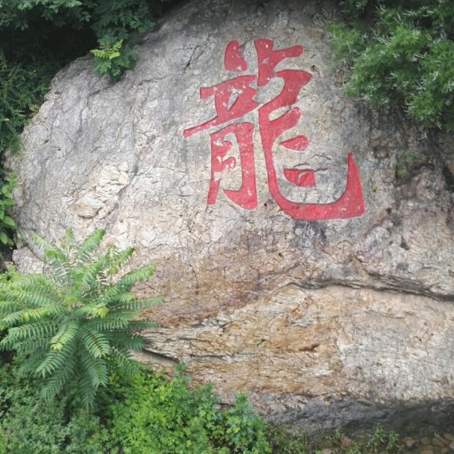 明天更美好
