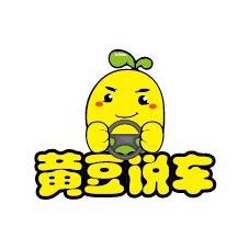 黄豆说车