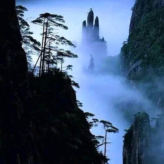 游子