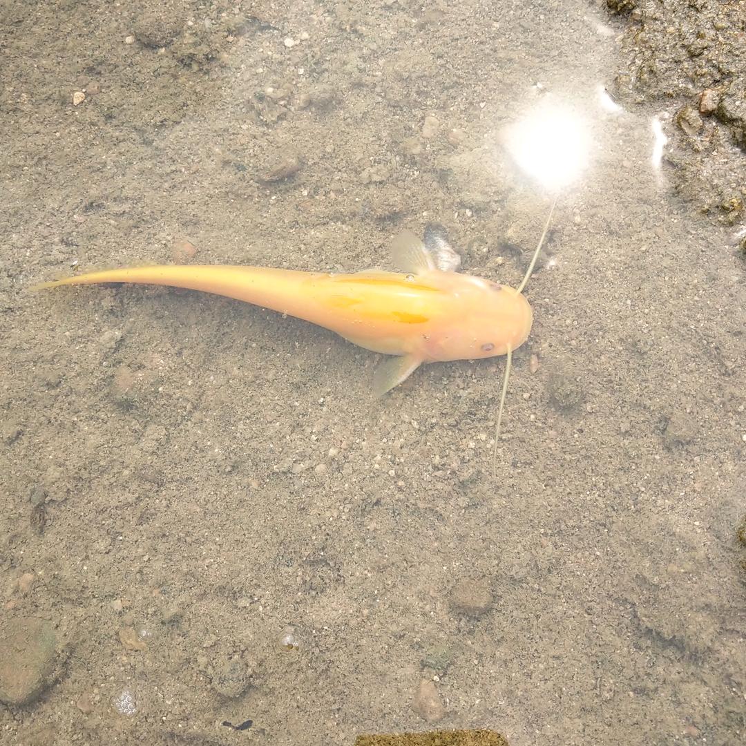 @&劉¥&连…～忘\/（）返？……………