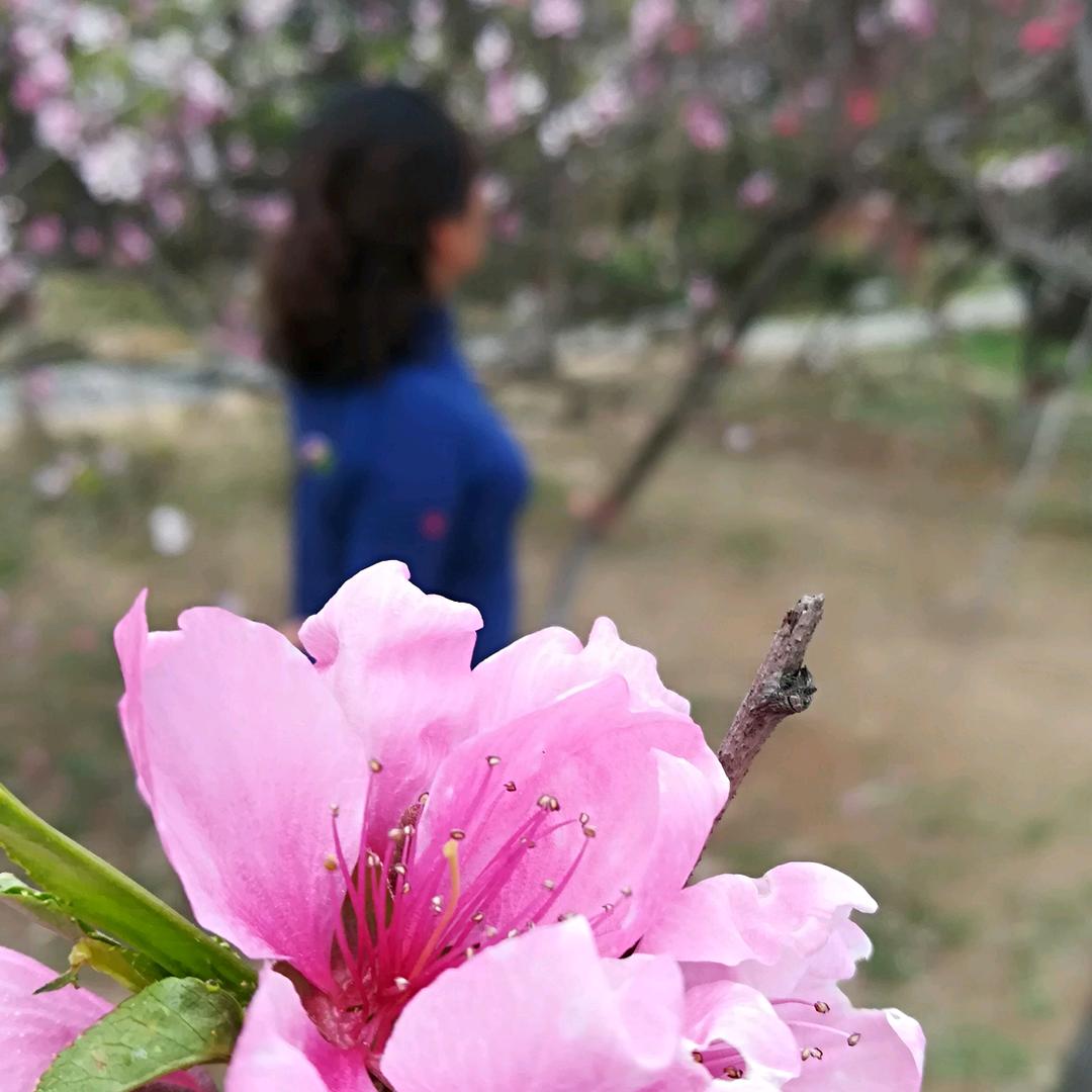 🌺🌺越来越好✊✊