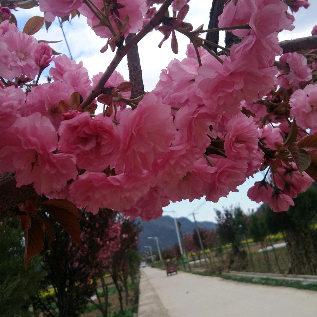 爱自己更爱别人