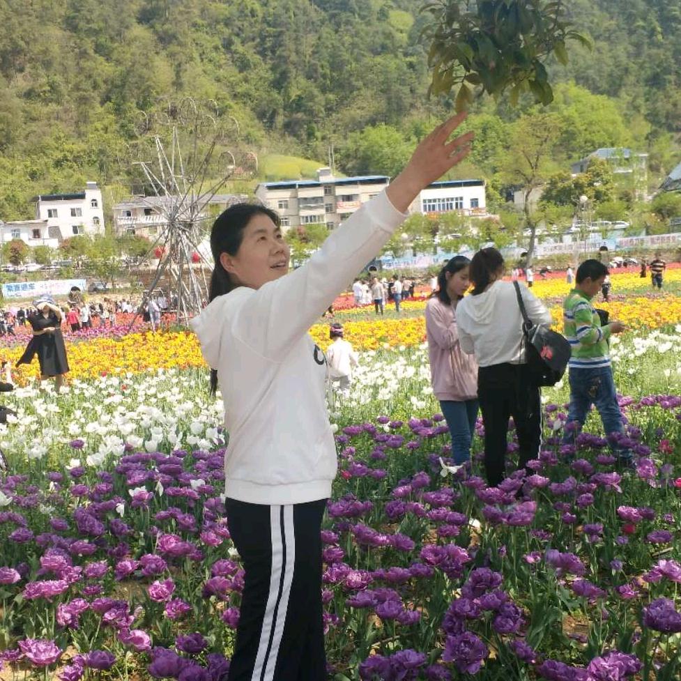 草原红太阳玲珑
