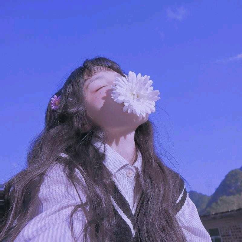 猫九