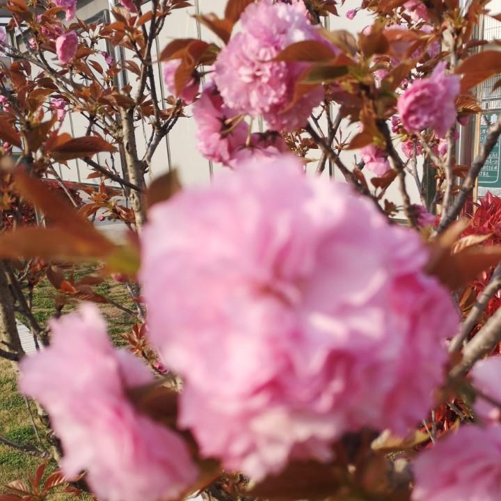 聂梓毅