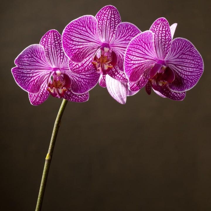 雨后彩虹