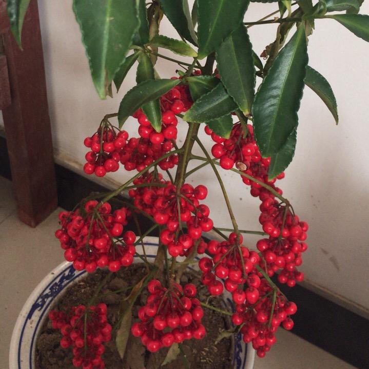 晴天☀️