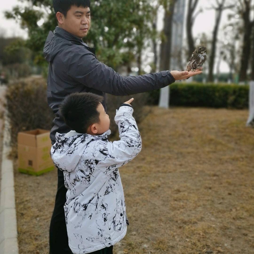 至尊宝宝