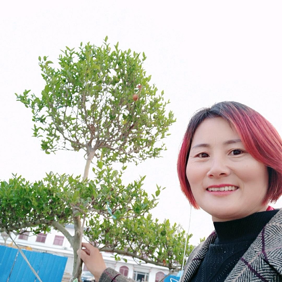 悦悦.