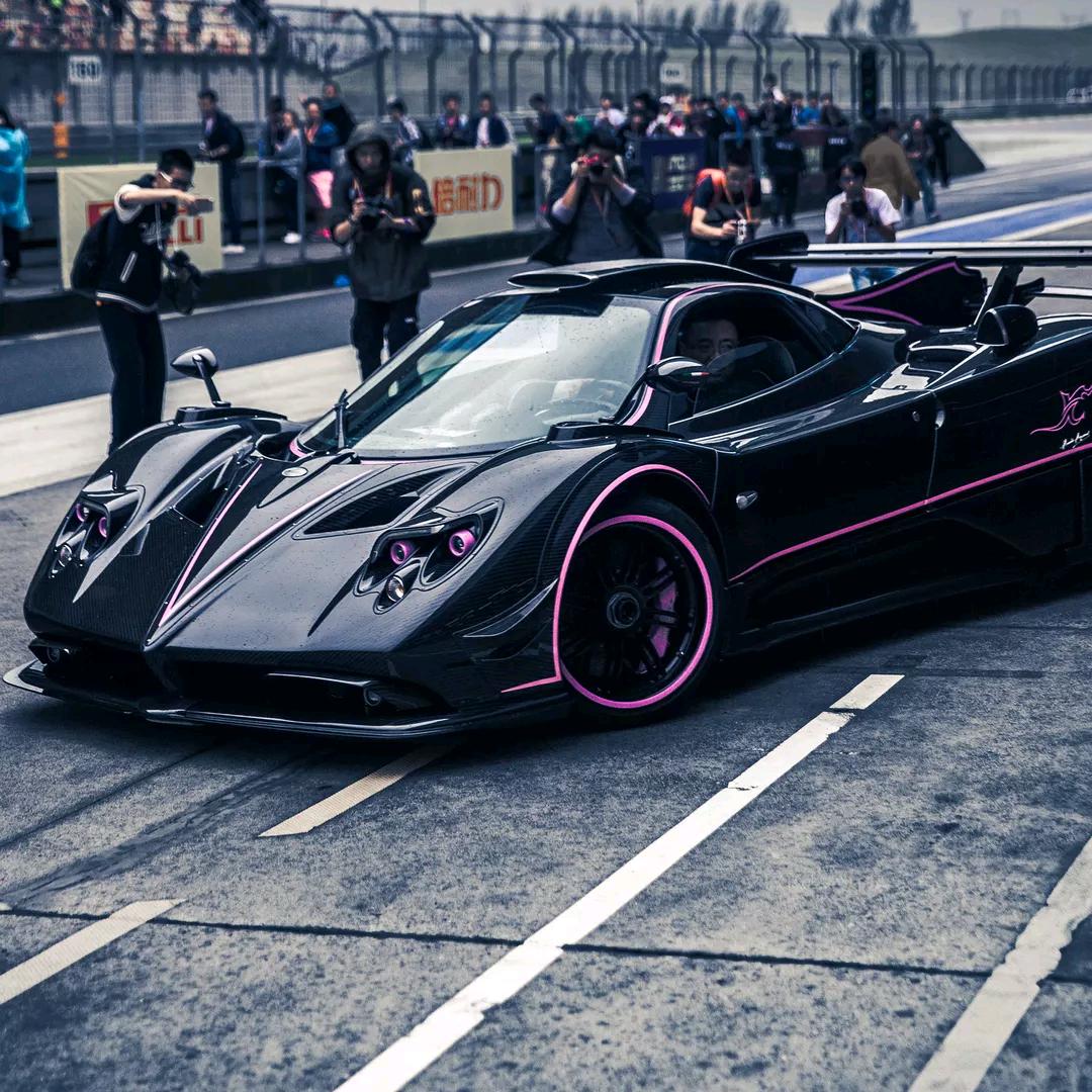 双鱼座（欢迎各种骚扰）