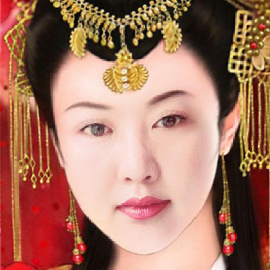 一支梅