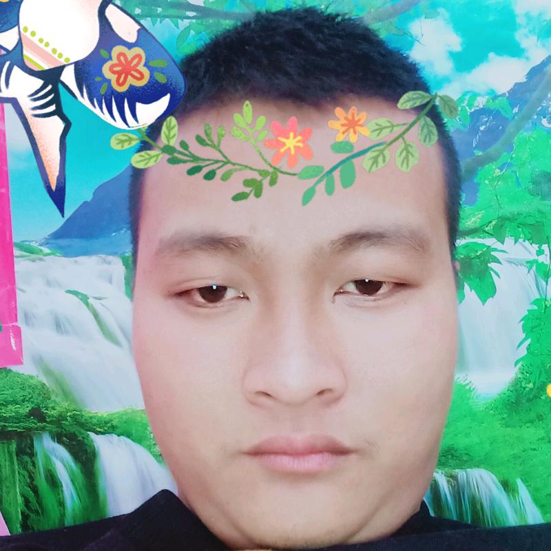 林