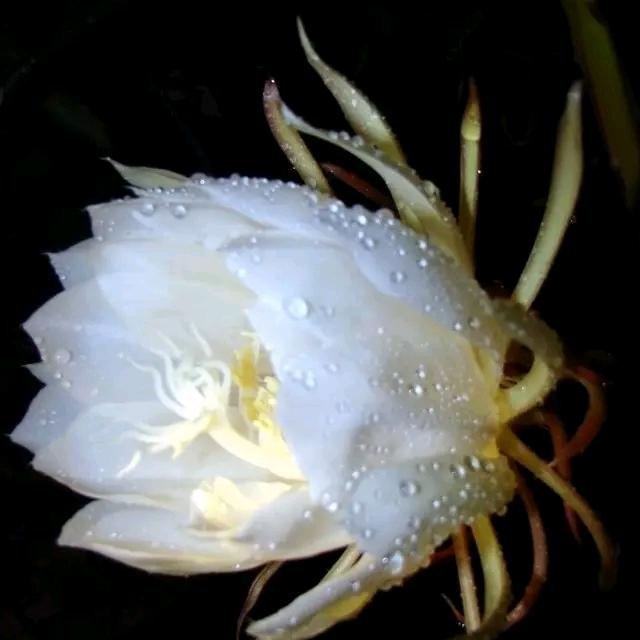 A小A