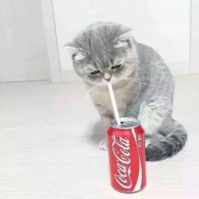 徐…