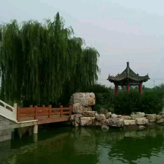 岁月静好