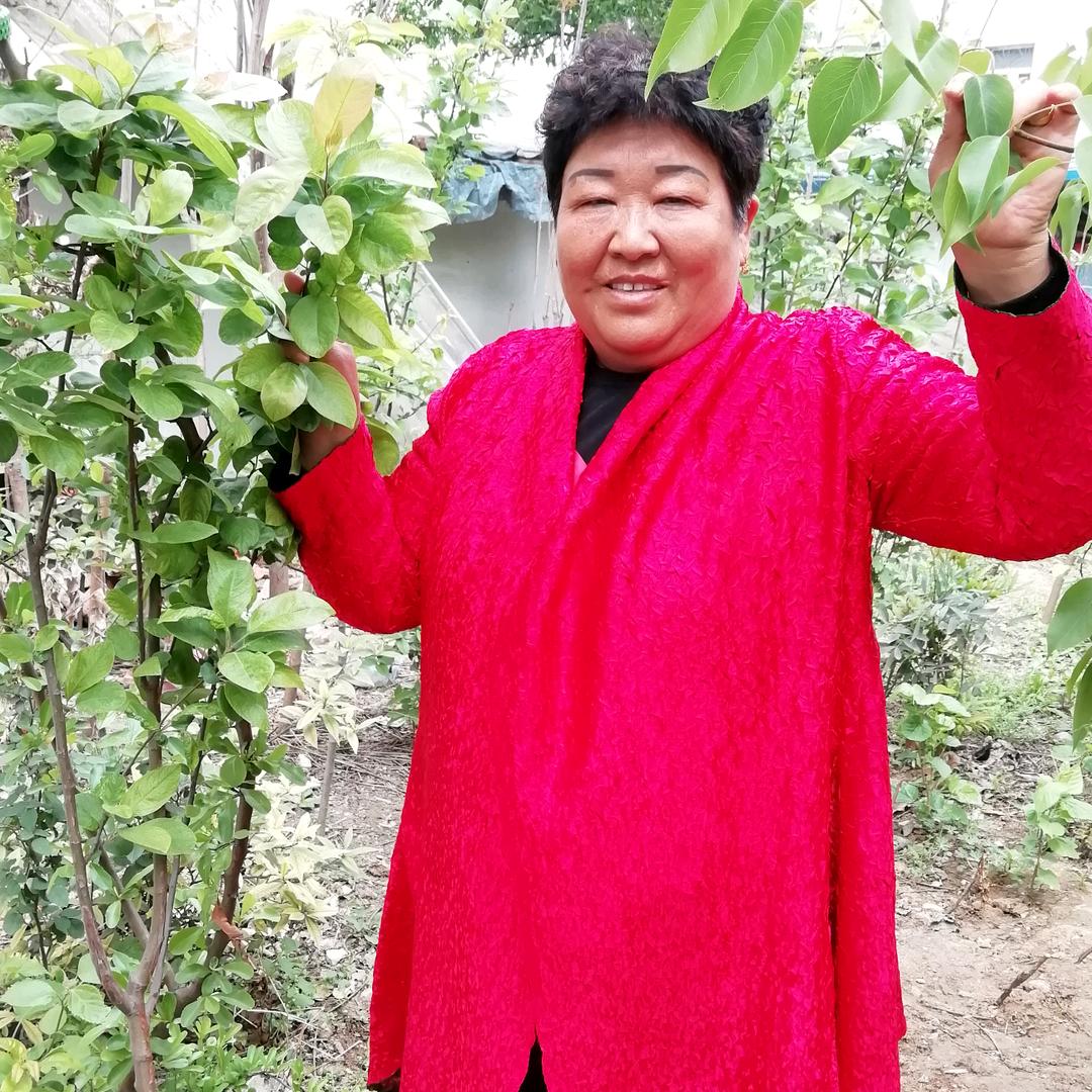 赵三姐