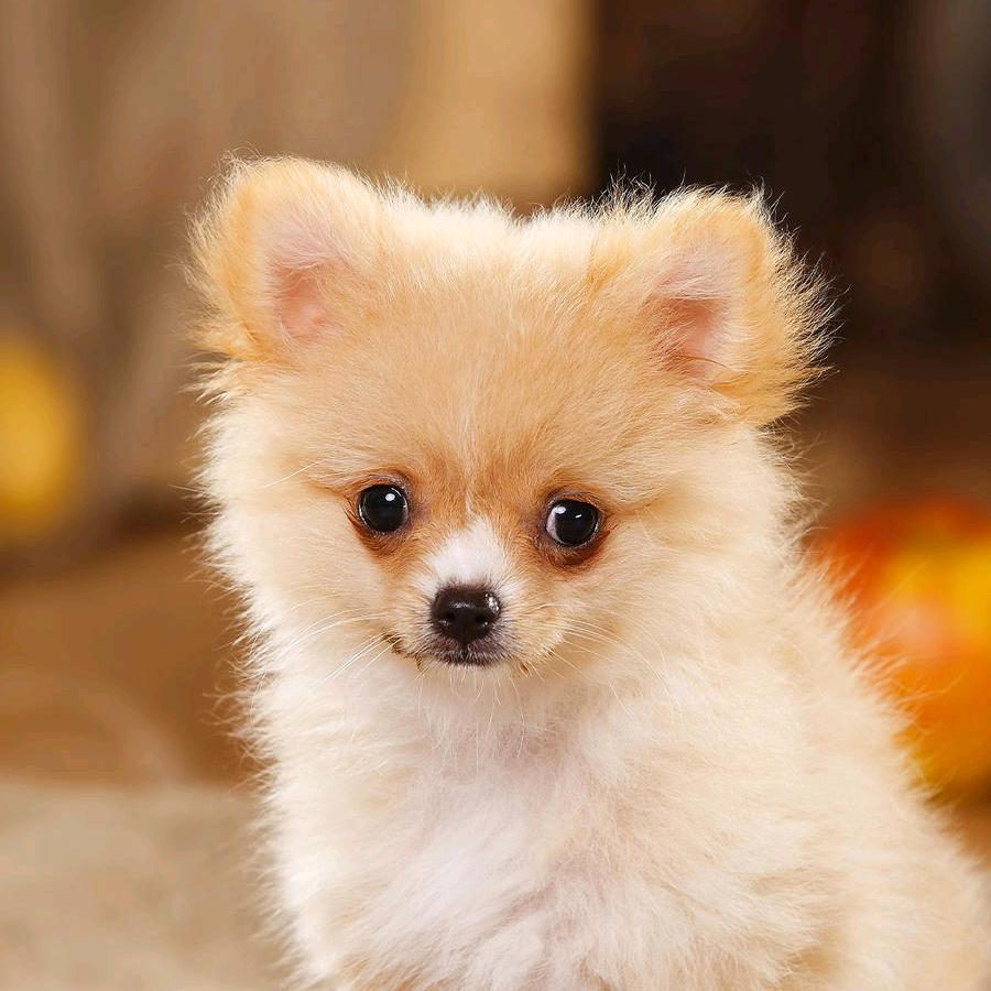 蹲在墙角抽根烟