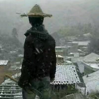 豆腐渣