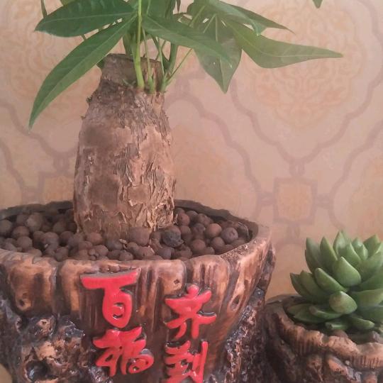 顺其自然