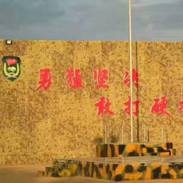 泰平养殖农场