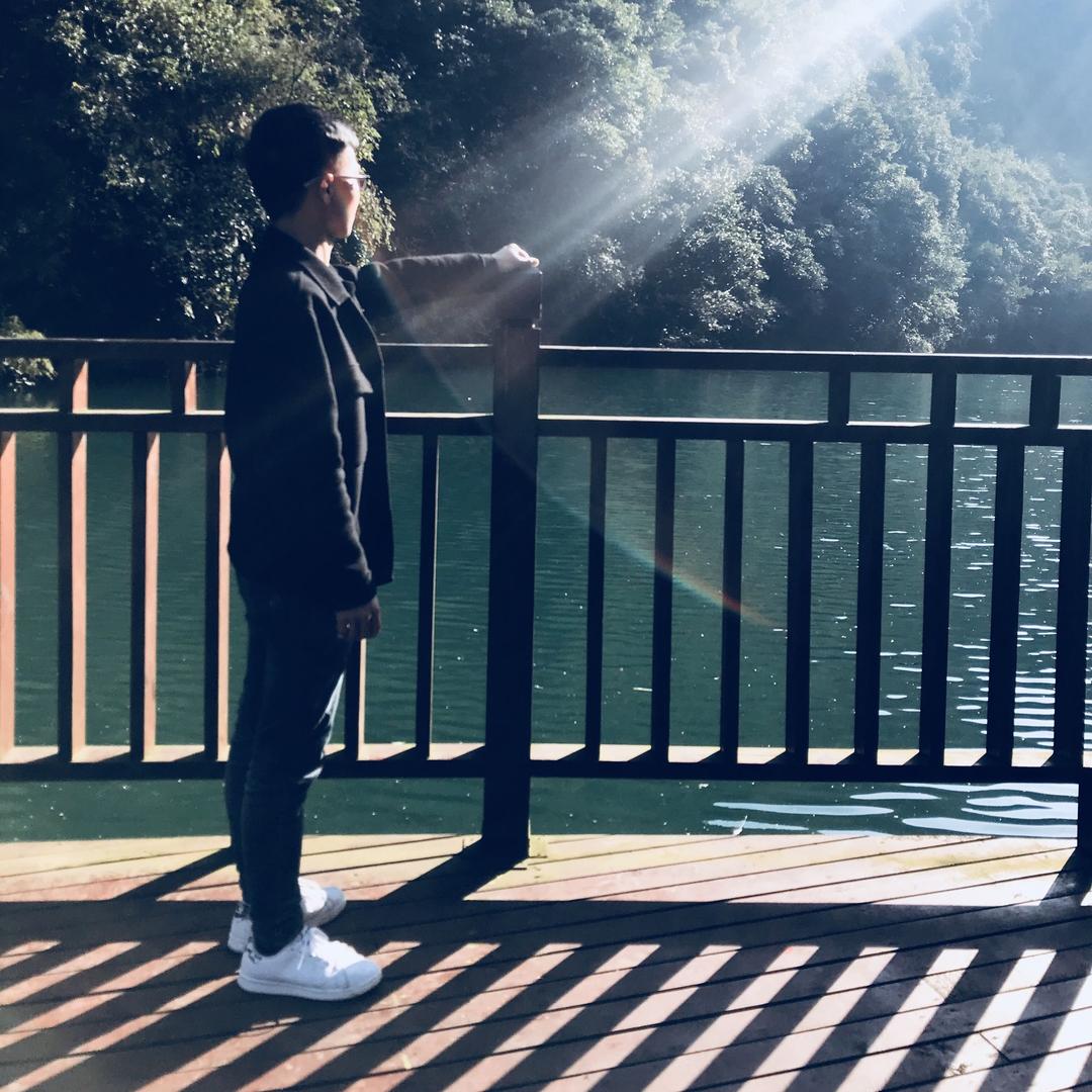 风中的蒲公英----