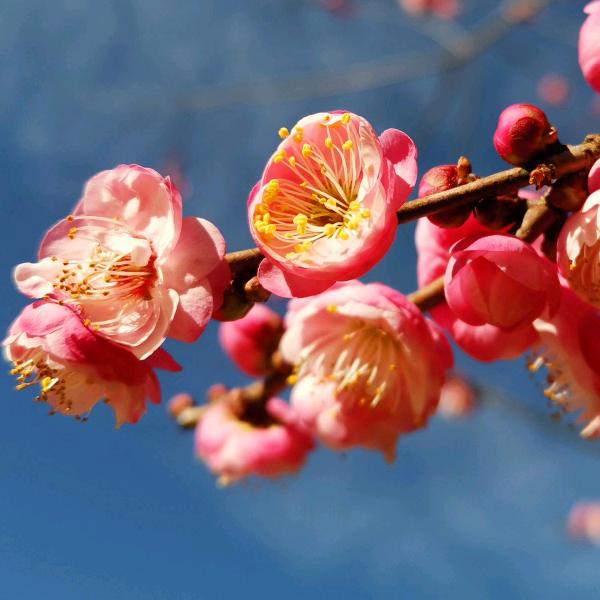 生活明朗