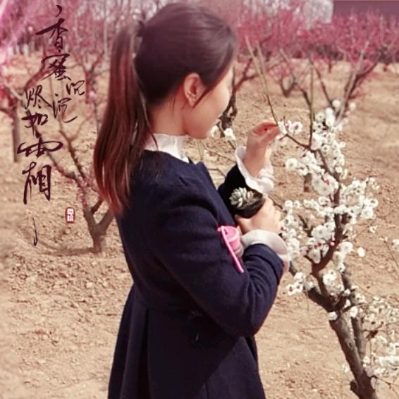 姐的高傲百度里搜不到。