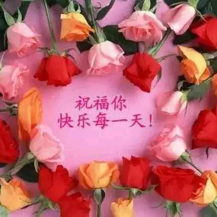 天天开心@