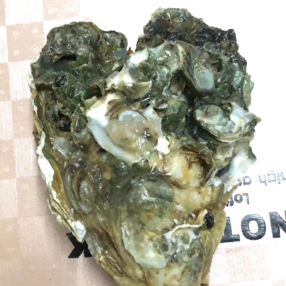 蚝王之家
