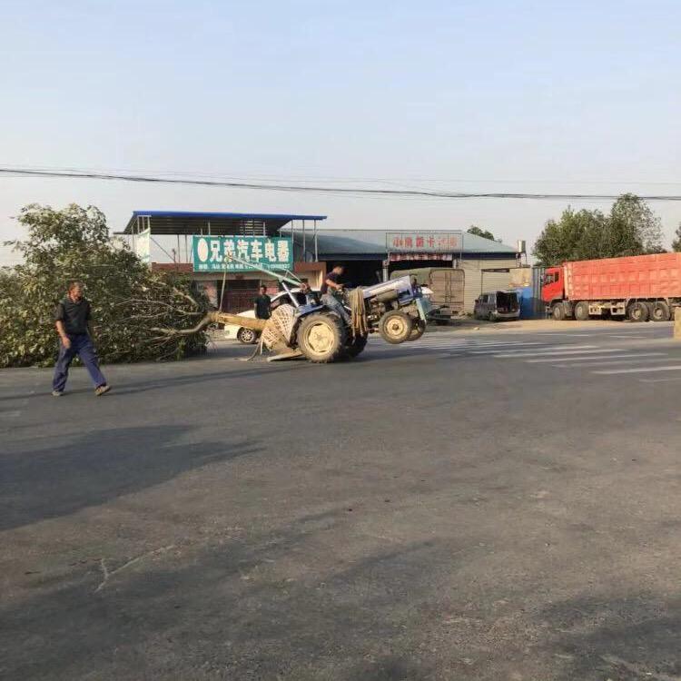 背车小司