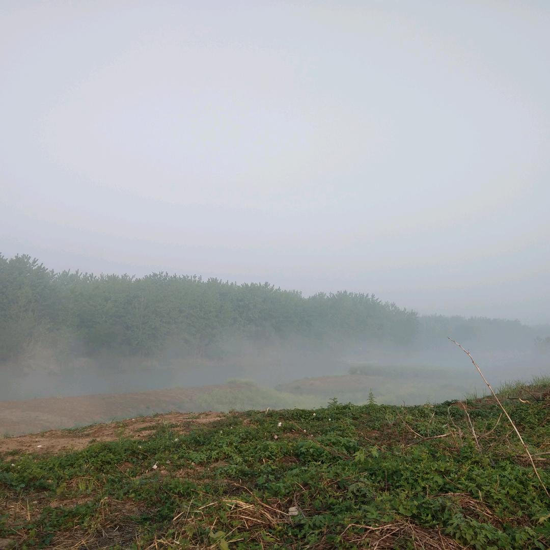 星河漫步