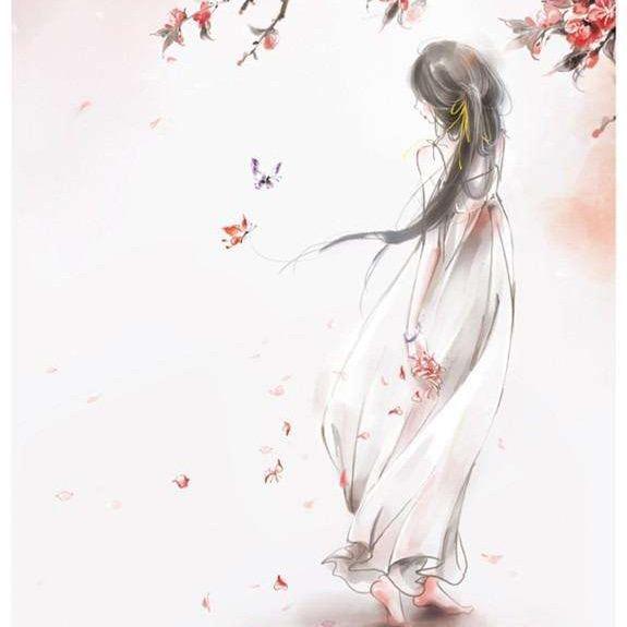 是晴吖